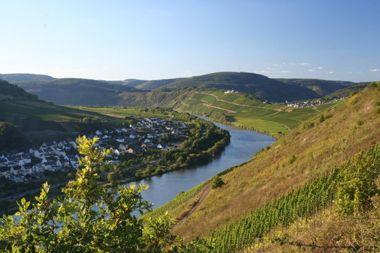 mosel bei briedel