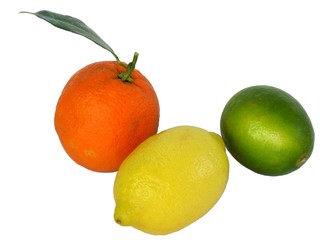 colours of citrus fruits