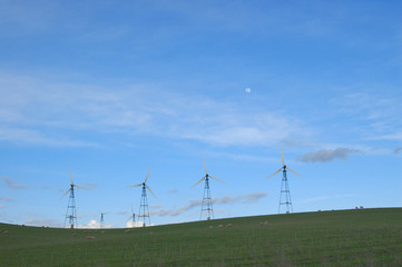 Fototapeta na wymiar windmills at dusk
