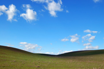 field and sky