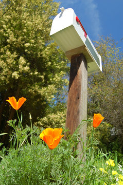 mailbox in the spring