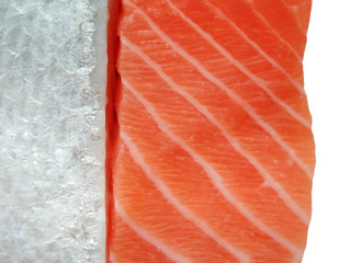 salmon filet