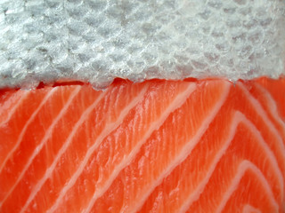 salmon filet