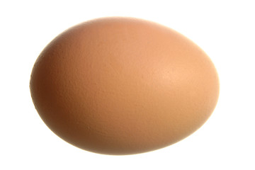 egg