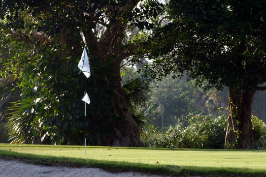 white flag standing