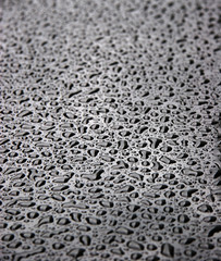water drops on black