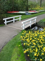 bridge