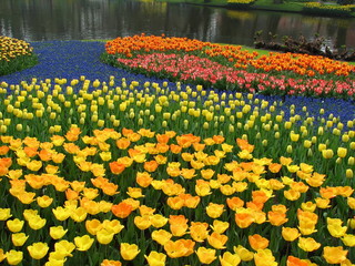 beautytiful garden