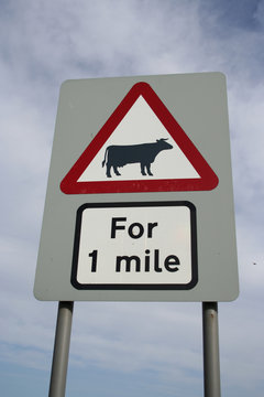 warning cattle sign