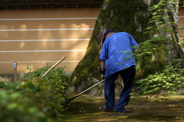 gardener