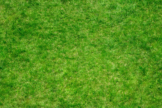 grass 7