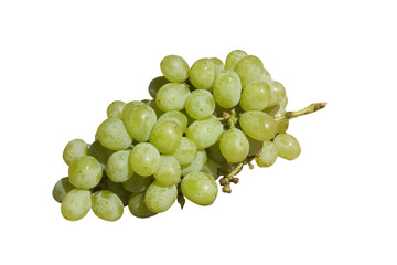 grapes-green