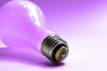 light bulb in purple