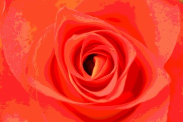 Fototapeta na wymiar rosenblüte abstrakt