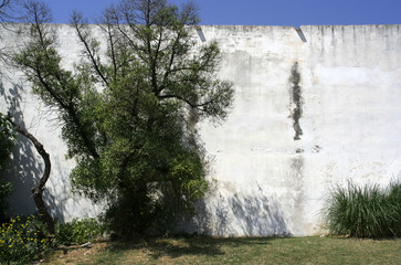 sitges wall © Dan Talson