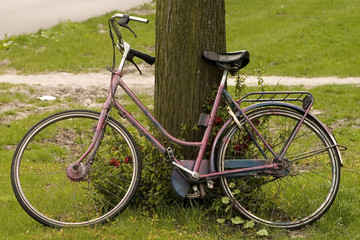 Fototapeta na wymiar wyblakły rower