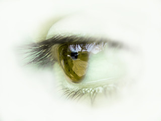 ojo castaño