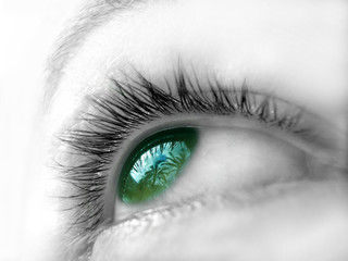 ojo verde iii