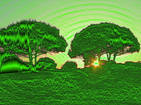sonnenaufgang in gr&uuml;n