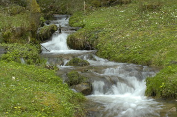 eau vive