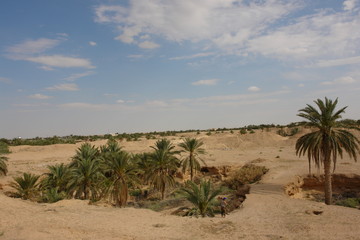 Fototapeta premium sahara581