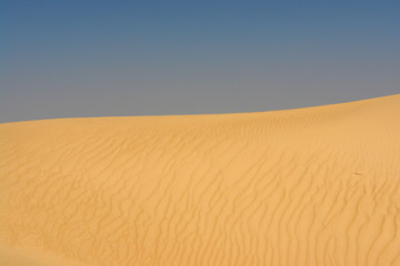 sahara580