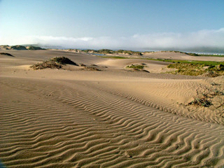 Fototapeta na wymiar california sand art