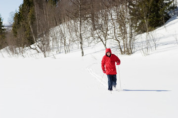 cross country landscape