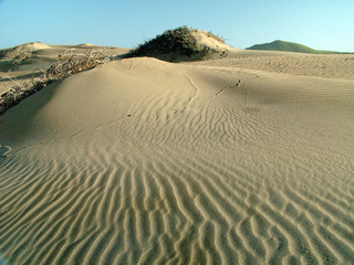 beach, ocean, sea, water, sand
