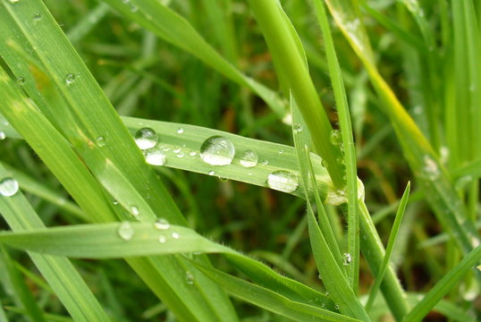 water drops