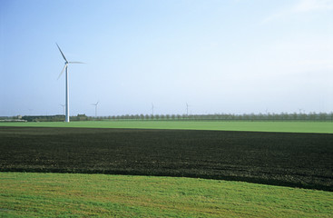 windmill farm