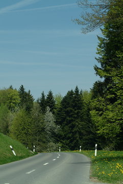 waldstrasse