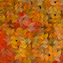 autumn leaves