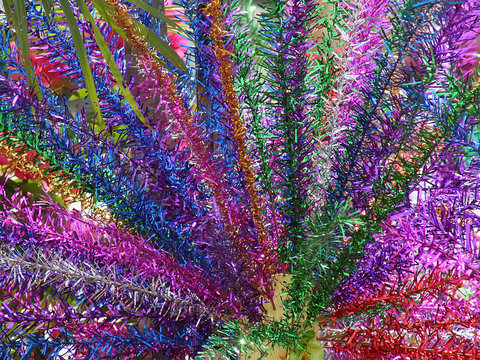 bunga manggar abstract