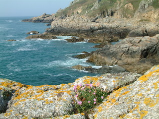 côte rocheuse