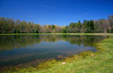 Fototapeta na wymiar spring pond