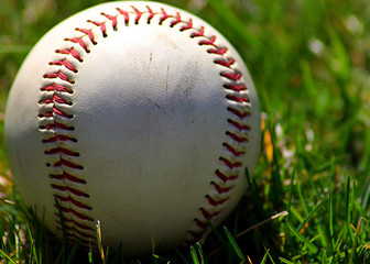 baseball in the grass