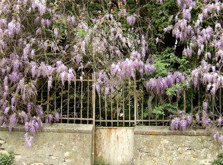 temps qui passe