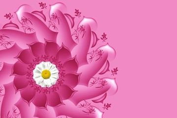 pink background for card