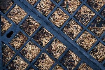 abstraction