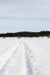 cross country skiing