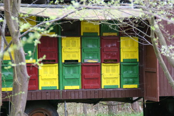 blick auf einen bienenstock