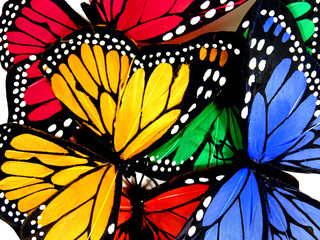 colorful butterflies