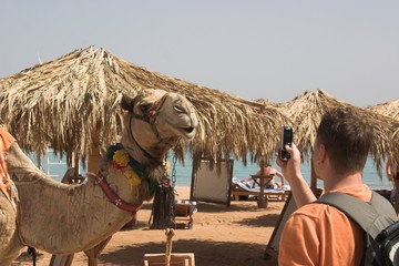 on the beach