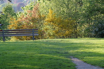park and bench