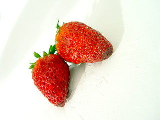fraise 00022