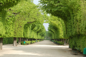 park alley