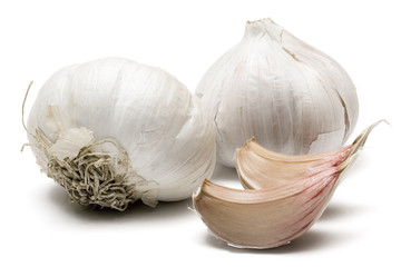garlic