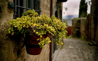 Fototapeta na wymiar ładne włoski plantator okno
