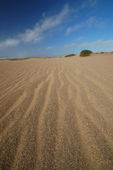 Fototapeta na wymiar sand dune on the beach